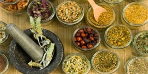 Jamu Tradisional Indonesia Masuk Paris