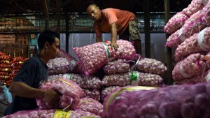 Bawang Putih Melangit, Politisi PDIP Desak Pemerintah Bubarkan Praktek Kartel