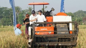Menteri  Rini Lakukan Panen Raya Bersama Petani di Kabupaten Karawang Jawa Barat