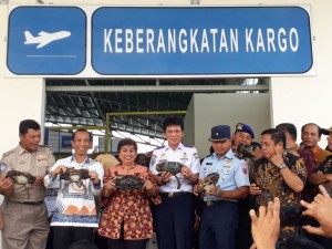 Volume Arus Barang di Bandara Haluoleo Kendari Naik 95 Persen
