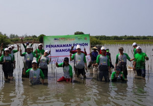 BEST Kembali Tanam Ribuan Mangrove di Muara Gembong