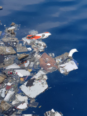 Ratusan Keluarga Korban Jatuhnya Pesawat JT-610 Lakukan Tabur Bunga