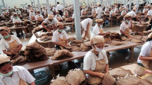 Saham Emiten Rokok Menguat