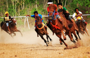 Ikuti Turnamen Pacuan Kuda Crossborder, 15 Joki Timor Leste Siap Sapu Bersih