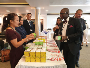 Indonesia Kembali  Menggalang Dukungan Calon Anggota Dewan IMO 