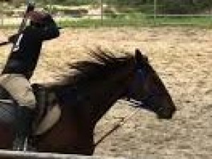 Rekreasi Akhir Pekan Berenang dan Berkuda  di BSD City