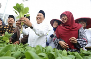 Pokbun Flamboyan, Binaan TBBM Bandung  Jadi Percontohan dan Praktik Para Mahasiswa