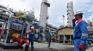 Investasi Baru, Pemerintah Lelang 4 Blok Migas di Tanah Air