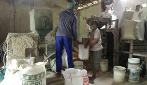 Ini Dinamika Harga Gabah Nasional Periode Juli 2019