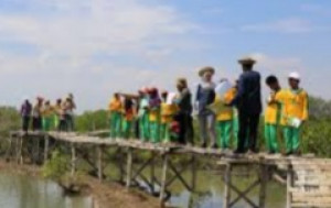 Pertamina Ajak Mahasiswa Magang Sosialisasi ke Mangrove Sister School