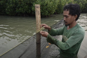 Pertamina - Masyarakat Kompak Lindungi Mangrove Pantai Bahagia, Bekasi