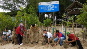 Di Tuban, Pertamina Tanam 10.000 Pohon Dan Salurkan CSR Senilai Rp1.2 M