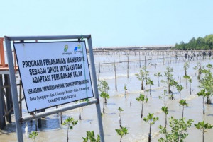 Pertamina Bantu Kembangkan Ekowisata Mangrove  di Desa Pasir Putih, Karawang