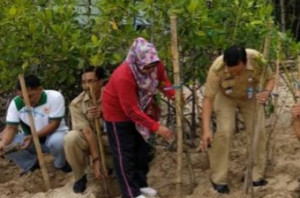 PHE ONWJ Tanam 195.000 Pohon Mangrove di Karawang