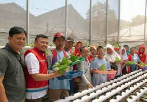 Anak Berkebutuhan Khusus  Belajar Berkebun Hydroponik di Pokbun Flamboyan