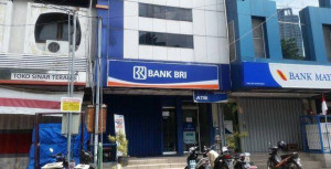 Bank BRI Butuh Nakhoda Baru Yang Profesional dan Cekatan