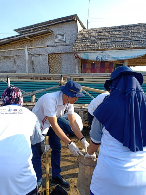 KUPP Indramayu Bersama Warga Bersihkan Sampah Plastik di Pantai