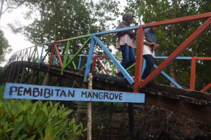 Lestarikan Mangrove di Bengkalis Pertamina Kucurkan Dana CSR Sampai Rp650 Juta