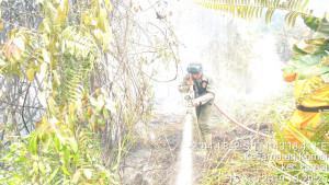 Karhutla Dipicu Penyelewengkan Dana Pungutan Ekspor CPO  