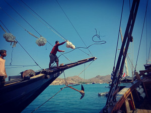 Peringatan Hari Maritim se-Dunia,  Inilah Sikap Pemerintah Indonesia