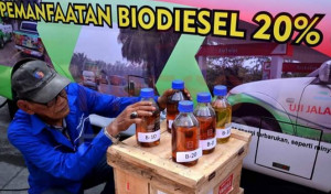 ESDM Tetapkan Harga Biodiesel dan Bioetanol Periode Oktober 2019