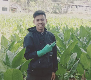 Penduduk Indonesia  Perokok Terbesar di Asean, Cukainya ? 