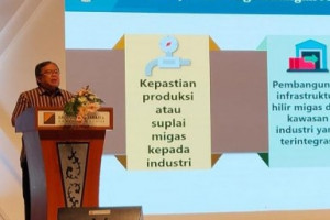 Gas Jadi Aset Strategis Dan Ini Investasi PGN