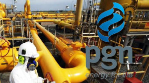Produsen Hulu Gas Nasional  Dikuasai Asing