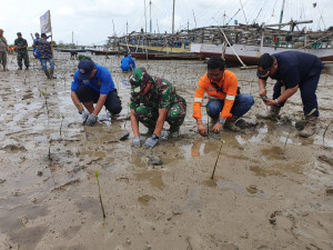 KSOP Kotabaru Dukung TNI AL Tanam Mangrove Terbanyak Versi MURI