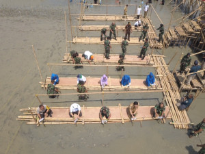 Sinergi Pelindo III dan TNI Hijaukan Pesisir