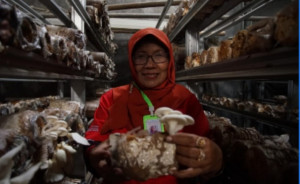 Desa Kreatif Binaan Pertamina RU Cilacap,  Ekspor Produk Makanan Ke  Malaysia dan Hongkong