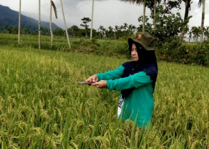 Oktober 2019, Indek Harga Perdagangan Besar Naik Tipis 0,02% 