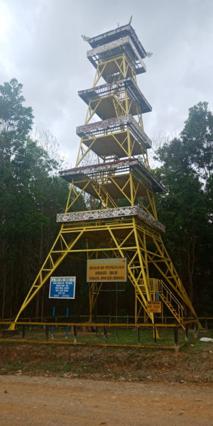 Tantangan Membangun Transportasi di IKN Baru di Kalimantan Timur