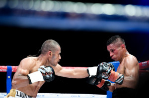 Menpora Berharap Tinju Indonesia Bangkit Kembali