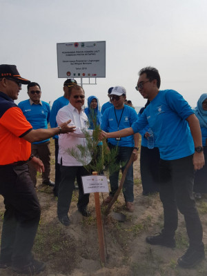 Kurangi Dampak Tsunami,  AP  II-BNPB  Tanam Ribuan Pohon Cemara Laut di Pantai Ketaping Padang