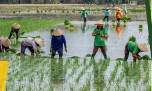 Upah Buruh di Indonesia Oktober 2019 Naik Tipis