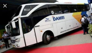 DAMRI Naikkan Tarif Angkutan Bandara Soetta, Ini Penjelasan Manajemen