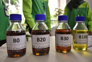 Program B30  Direncanakan Dengan Baik Dan Tak Merusak  Kendaraan Bermesin Diesel 