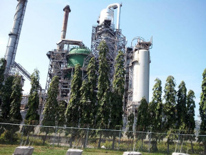 Pertamina Kembangkan Petrokimia di Kilang Balongan Jawa Barat