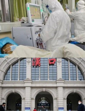 Dokter Yang Menangani Virus Corona di Hubei  Meninggal Akibat Terinfeksi