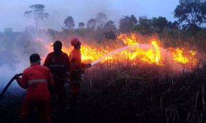 Presiden Jokowi Khawatirkan  Penggantian Pejabat di Daerah