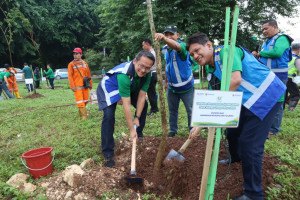  HUT ke-42, Jasa Marga Gelar Penanaman 42.000 Pohon Langka di Indonesia