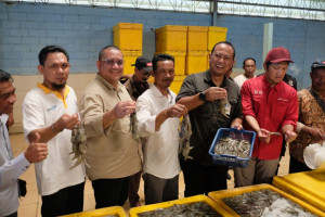 Pertamina Kucurkan Rp72 Miliar Untuk Bina 817 Petambak Udang Dipasena Lampung