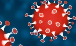 UPDATE COVID-19:  Positif Terinfeksi 6.248 Kasus Meninggal Dunia 631