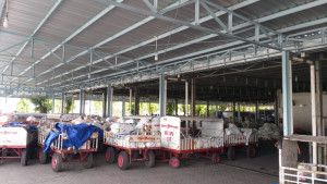 Extra Flight Untuk Angkutan Kargo  Naik di 9 Bandara AP I 