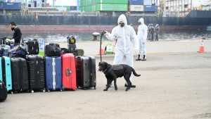 Kemenhub Kembali Fasilitasi Pemulangan  375 ABK MV Carnival Splendor  Melalui Tanjung Priok