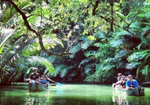 Sepi Dihantam Corona, Pelaku Industri Pariwisata Harus Lakukan Promosi