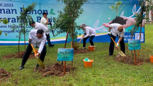 ASDP dan Pemda Lampung Hijaukan kawasan  Bakauheni Harbour City