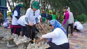 IPC TPK Tanam Ribuan Mangrove dan Terumbu Karang di Pulau Pramuka
