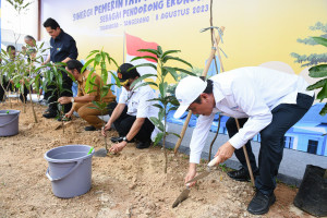 Bank BTN Melakukan Revitalisasi Taman Hijau 